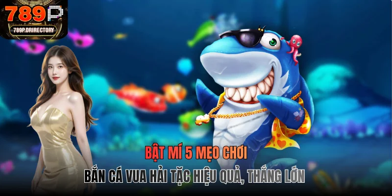 Bật mí 5 mẹo chơi bắn cá vua hải tặc hiệu quả, thắng lớn