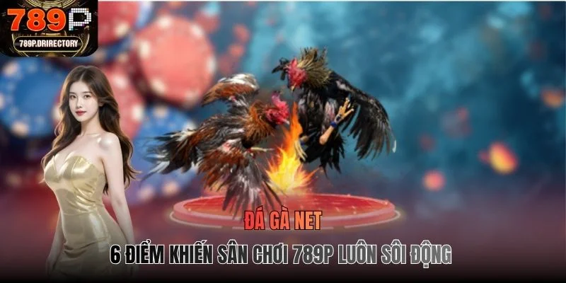 Đá Gà Net - 6 Điểm Khiến Sân Chơi Hứng Thú