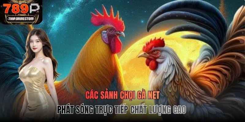 Các sảnh chọi gà net phát sóng trực tiếp chất lượng cao