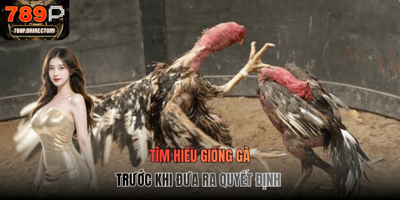 Tìm hiểu giống gà trước khi đưa ra quyết định